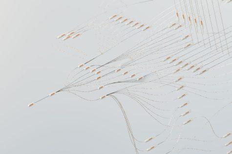 pexels-googledeepmind-17483870