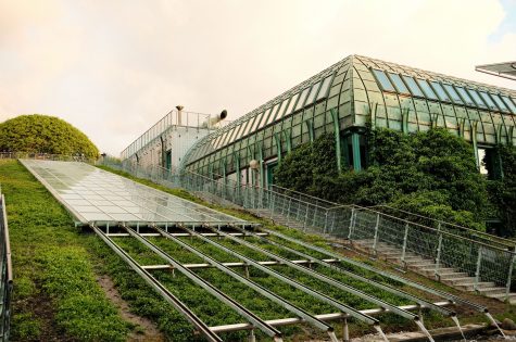 pexels-krystian-b-2161563268-37731391