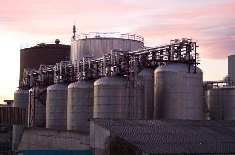 pexels-photofabianni-5411674